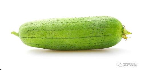 朝堂吃瓜4,揭秘宫廷背后的吃瓜故事