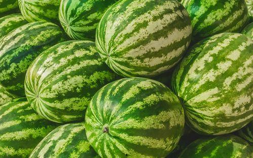 吃瓜的地方在哪吃,品味人间烟火