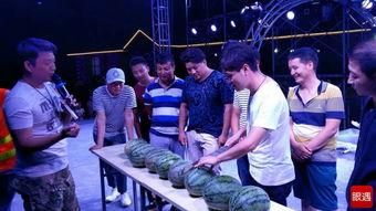 吃瓜比赛拍同款,同款拍瓜大赛，谁将笑傲江湖？