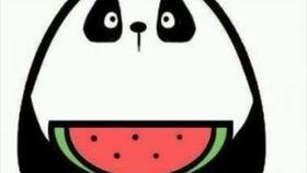 微信吃瓜8.0,揭秘娱乐圈最新热点，带你领略八卦风云