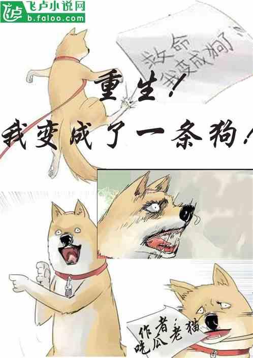 猫吃瓜视频大全爆笑,萌宠搞笑瞬间，笑料横生！