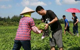 吃瓜群众美滋滋图片,捕捉生活趣味瞬间